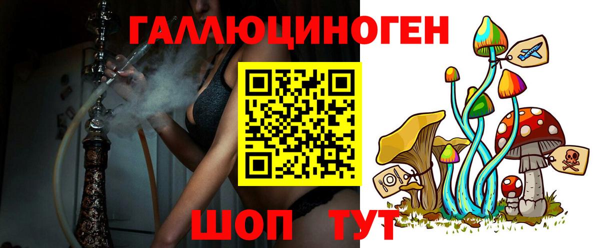 Нурлат  Псилоцибиновые грибы прущие грибы  Вход с VPN 